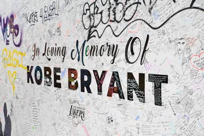 DSC_7162 (Large).JPG